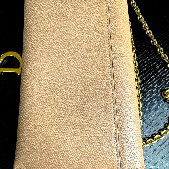 Dior Saddle Wallet on Chain - Picture 3 of 12